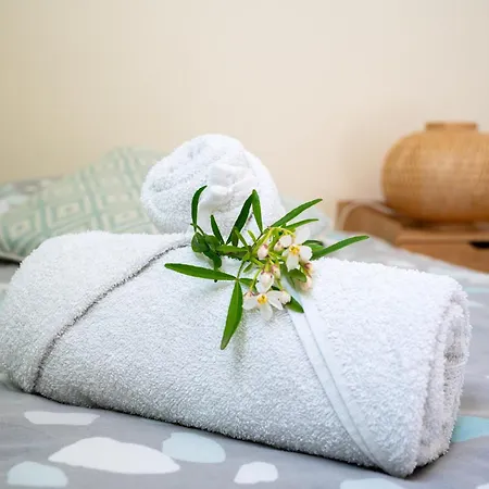 Semesterbostad Le Paul Bert - Centre Ville-parking Gratuit *