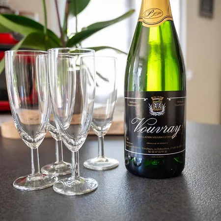 度假居 Le Paul Bert - Centre Ville-parking Gratuit 图尔