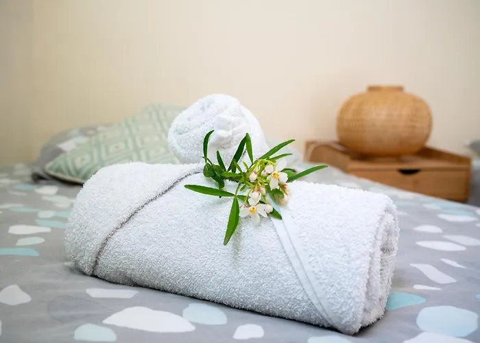 Casa vacanze Le Paul Bert - Centre Ville-parking Gratuit *