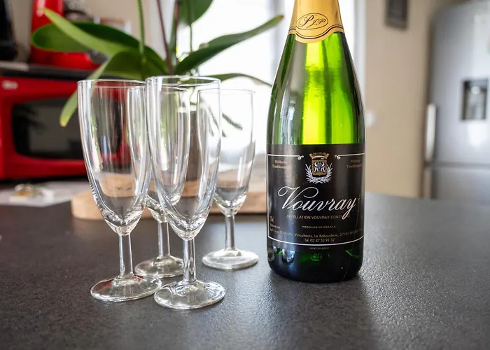 度假居 Le Paul Bert - Centre Ville-parking Gratuit 图尔